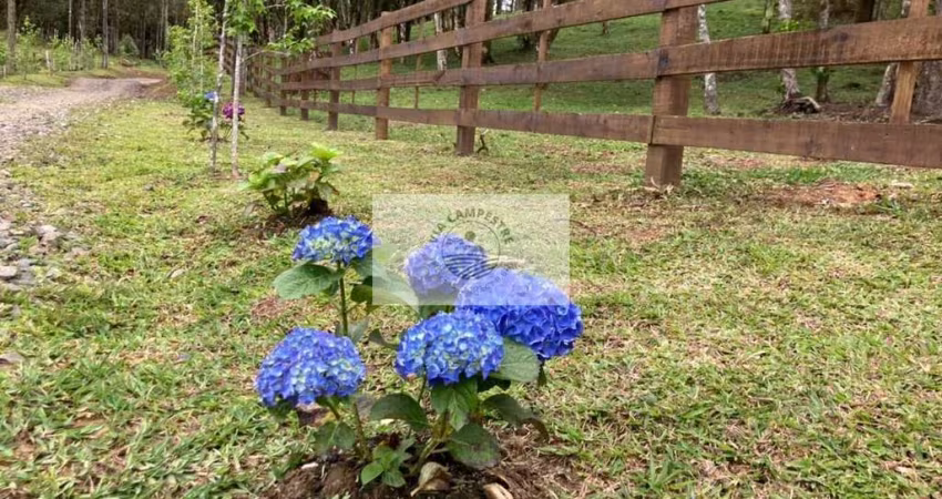 Terreno em Campo Alegre com 99.000 m², com pastagem, uma linda lagoa, escriturado