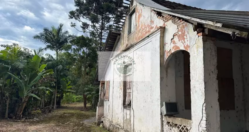 Sítio com 37.866 m², frente para o asfalto, com rio passando dentro, na estrada palmeiras