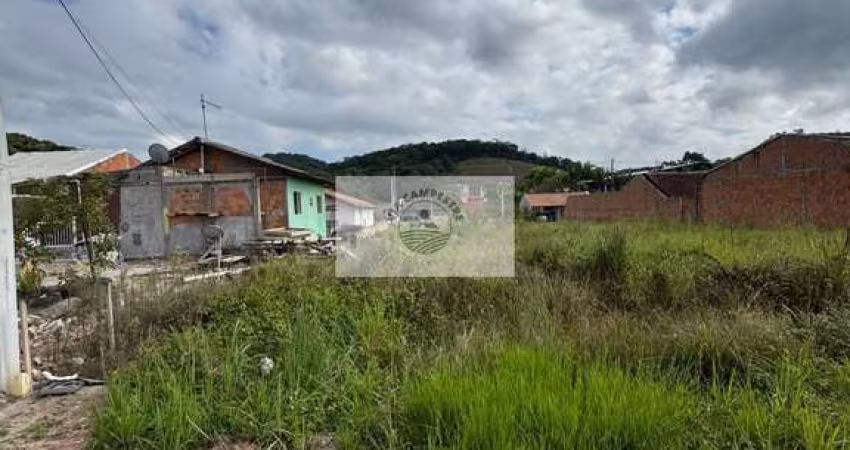 Terreno no loteamento Aratinga em Araquari
