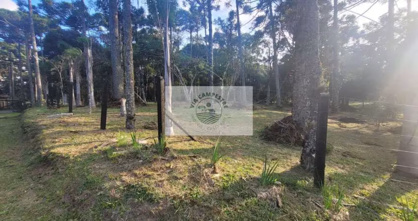 Terreno com 824 m², area central de Campo Alegre, escriturado