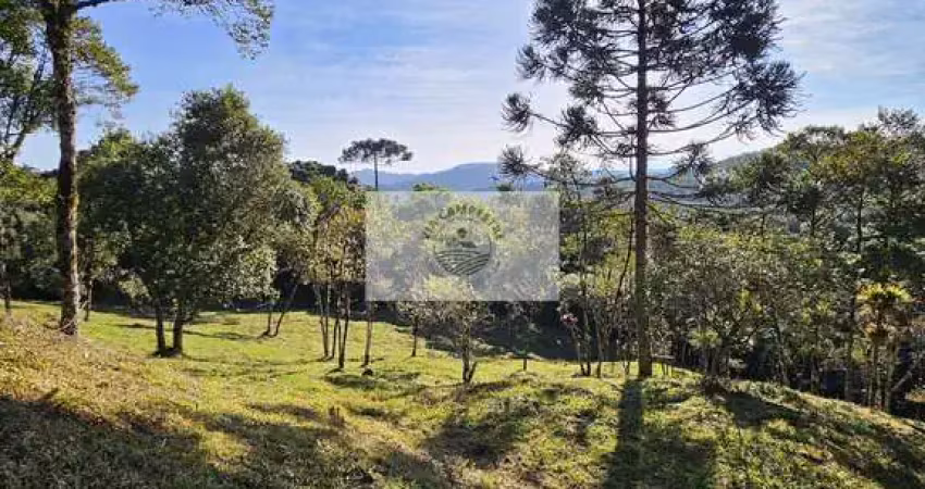 Sítio com 20.000 m², escriturado, pertinho do asfalto, analisa permuta
