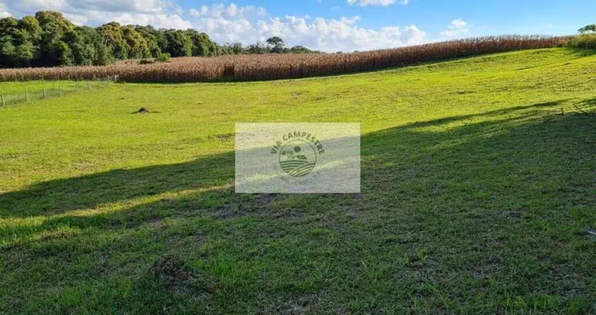 Terreno em condominio fechado, no lageado, com 3.527 m², escriturado