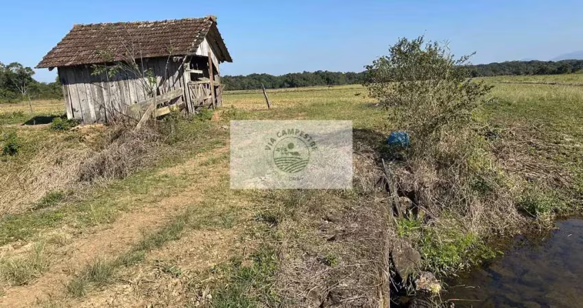 Terreno plano e todo limpo, ideal para condominio fechado, região em alta valorização