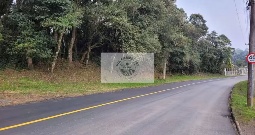 Terreno com 6.000 m², frente para o asfalto, escriturado