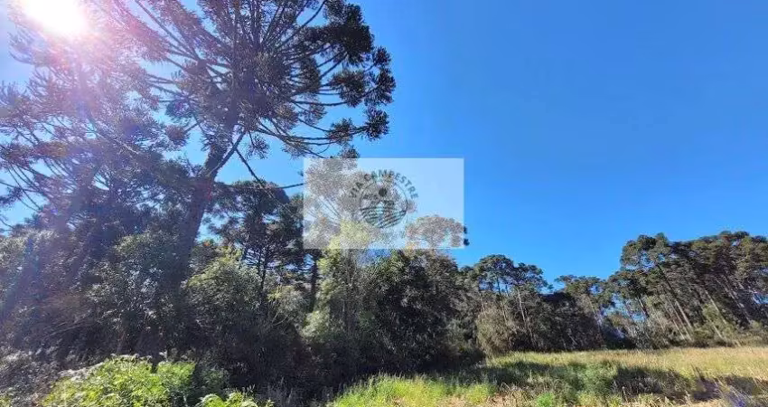 Sítio com 30.000 m², escriturado, região de avenquinha
