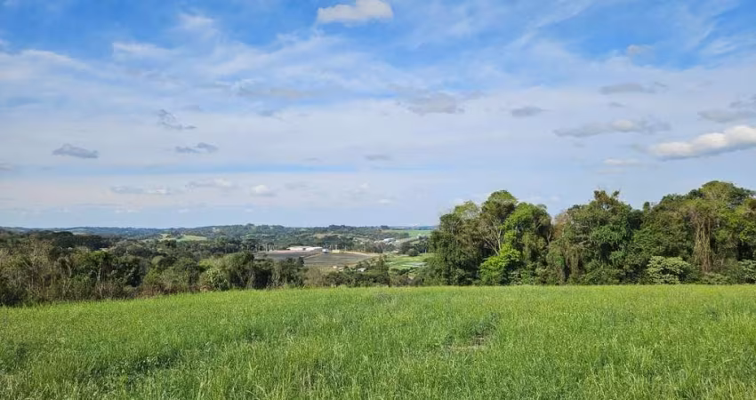 Chácara à venda, 23000 m  por R  575.000,00 - Zona Rural - Araucária PR
