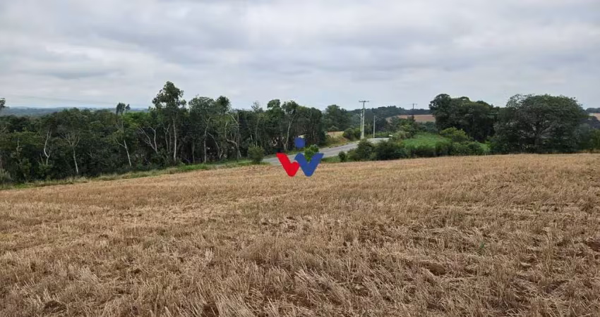 Terreno de 84.700 m  em araucária  ideal para loteamento ou condomínio exclusivo