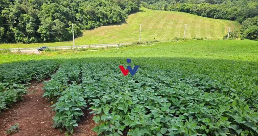 Chácara à venda,21850.00 m , zona rural, araucaria - pr