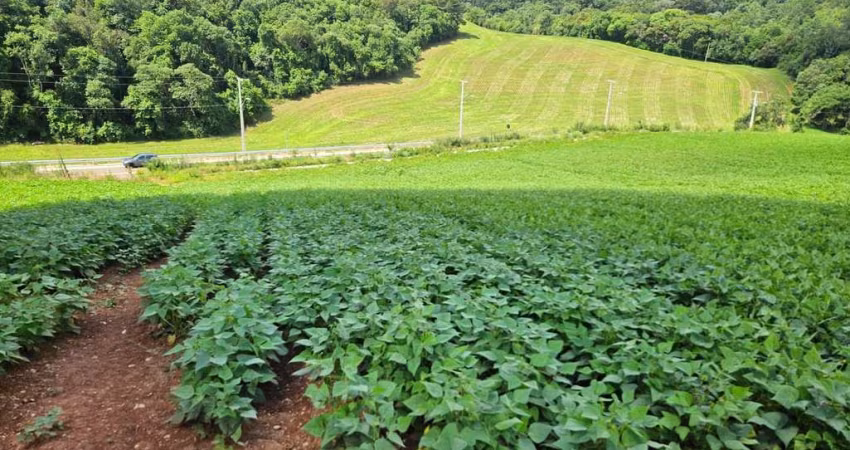 Chácara à venda,21850.00 m , zona rural, ARAUCARIA - PR