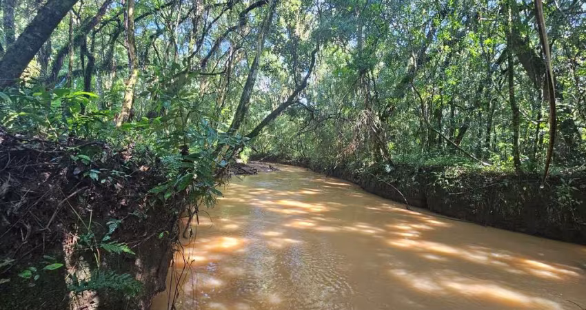 Chácara com 10000 m , registrada, por R  385.000 - Zona Rural - Contenda PR