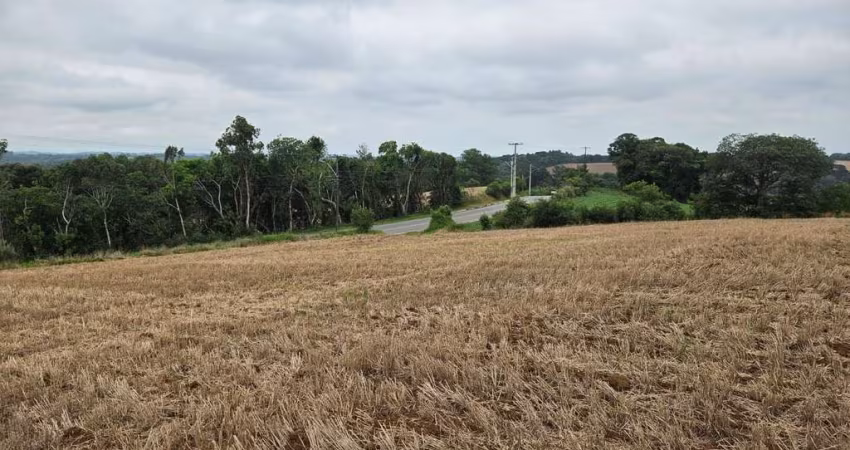 Chácara à venda,84700.00 m , zona rural, ARAUCARIA - PR