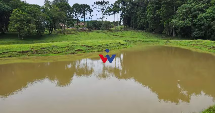Chácara à venda, 254100 m  10 alqueires, por r  3.020.000,00 - zona rural - araucária pr