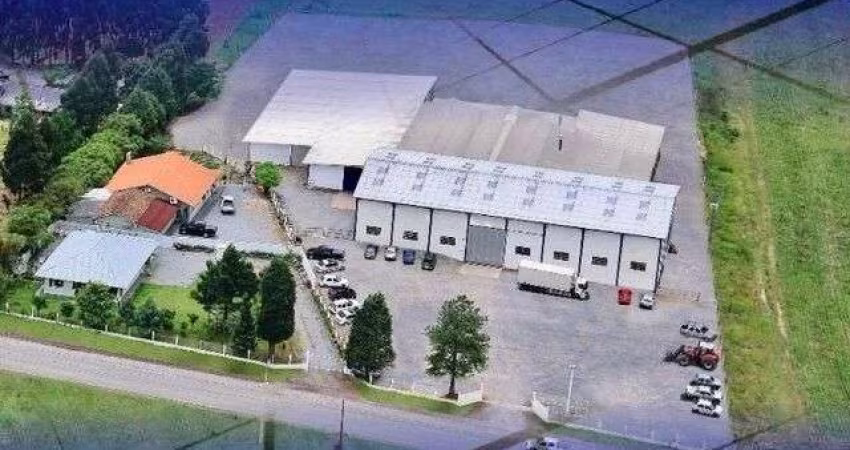 Barracão à venda, 3350 m  por R  2.800.000,00 - Ribeirão Vermelho - Campo do Tenente PR