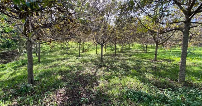 Chácara com 1 dormitório à venda,47270.00 m , zona rural, QUITANDINHA - PR