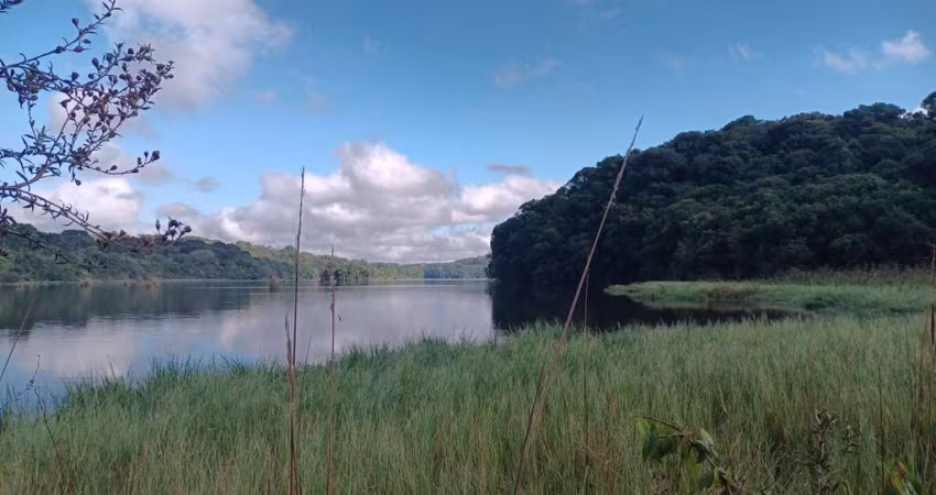 Chácara com 2 dormitórios à venda, 21473 m  por R  1.200.000,00 - Zona Rural - Araucária PR