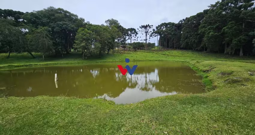 Propriedade rural com 254.100m , casas, tanques de peixe, pomar e pasto