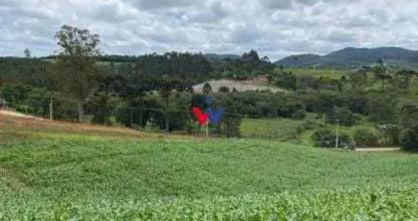 Terreno de 9,46 ha em tijucas do sul  ideal para agricultura ou chácara