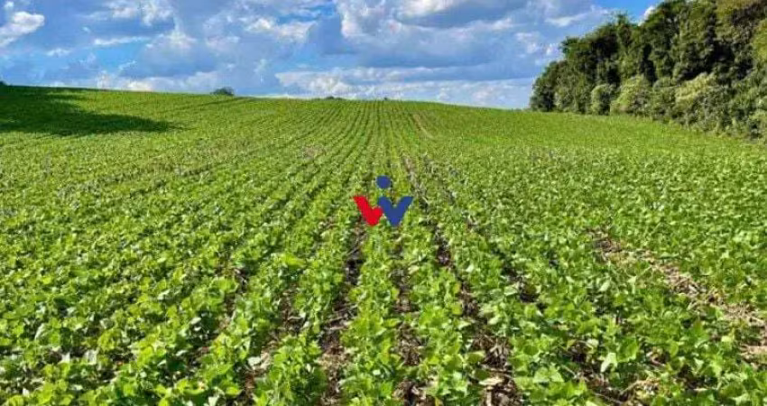 Chácara à venda, 23600 m  por r  649.000,00 - barigui - araucária pr