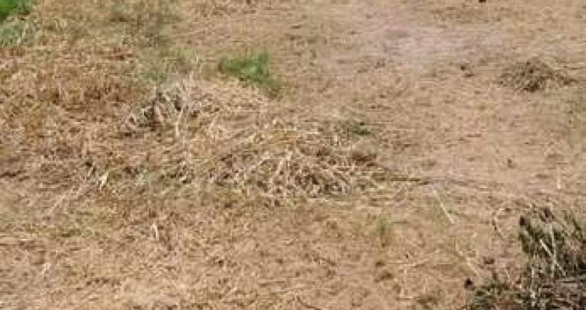 Terreno à venda, 840 m  por R  640.000,00 - Barigui - Araucária PR