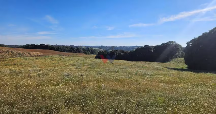 Área rural de 7 alqueires com rio e córrego  próxima a curitiba