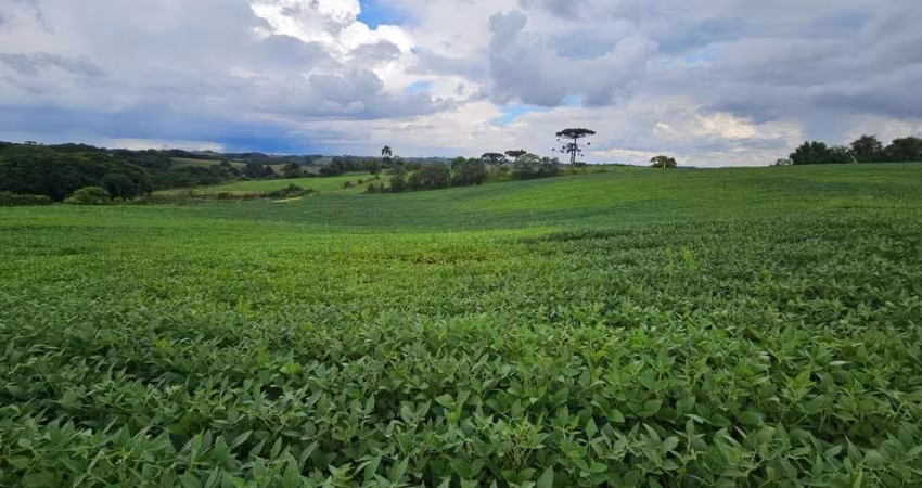 Área Rural com 330330m  13,65 Alqueires  à venda, CAMPO MAGRO - PR