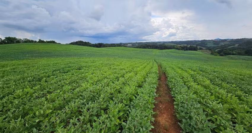 Chácara com 222.640,00m , 9,2 Alqueires, Campo Magro-PR