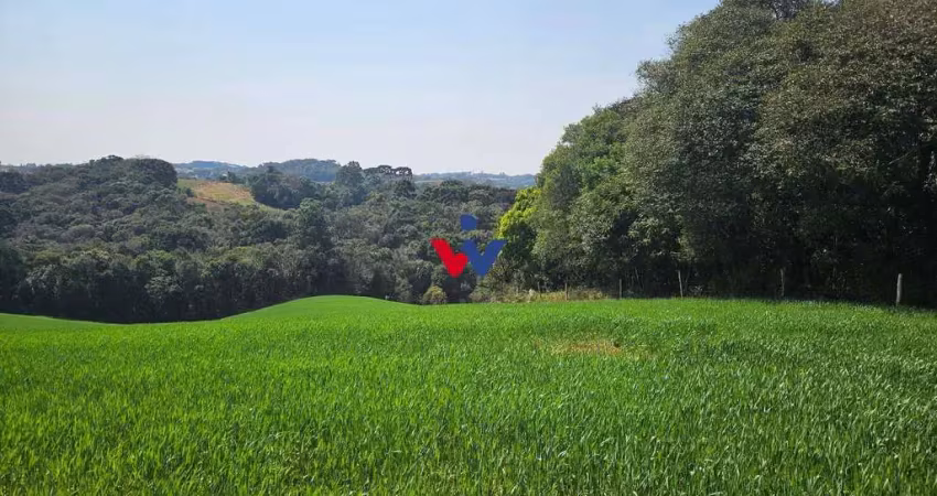 Chácara à venda, valor a partir de r 550.000,00, roça nova, araucaria - pr