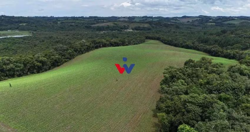 Rural à venda,242000.00 m , rio verde abaixo, araucaria - pr