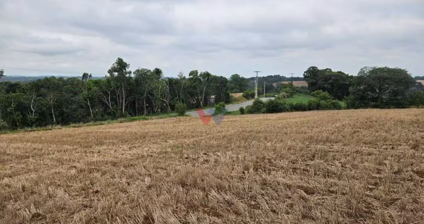 Chácara com 17000m  , com uma linda vista, frente para o asfalto, no guajuvira em araucária
