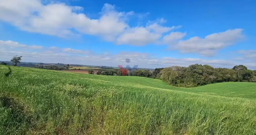 Chácara com 20000m  , com uma linda vista, frente para o asfalto, no guajuvira em araucária