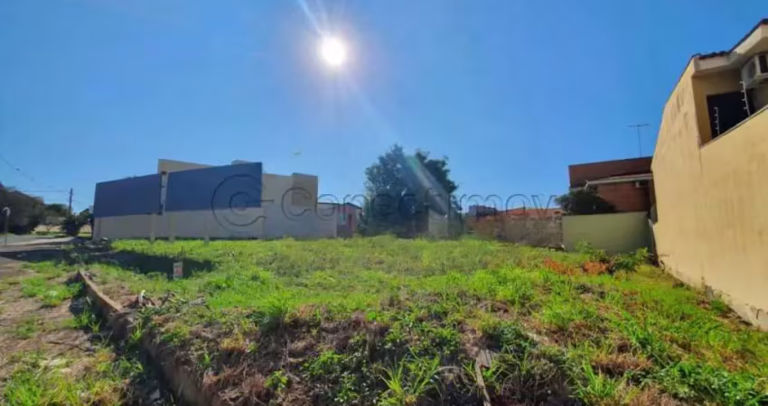 Terreno comercial para alugar na Avenida Anhanguera, Alto da Boa Vista, Ribeirão Preto