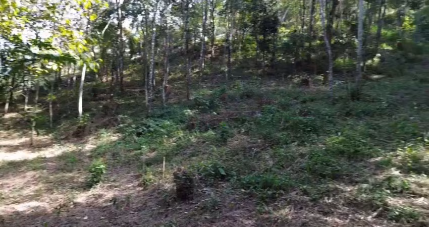 Terreno em condomínio para venda em araçariguama, ecoville