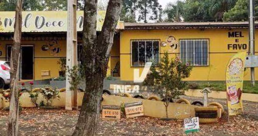 Sitio  6 alq. em Ortigueira