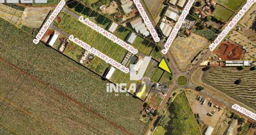 Terreno à venda, 1000 m² por R$ 750.000,00 - Parque Industrial - Maringá/PR