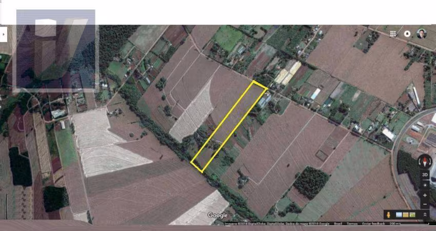 Chácara à venda, 69212 m² - Gleba Patrimônio Maringá - Maringá/PR