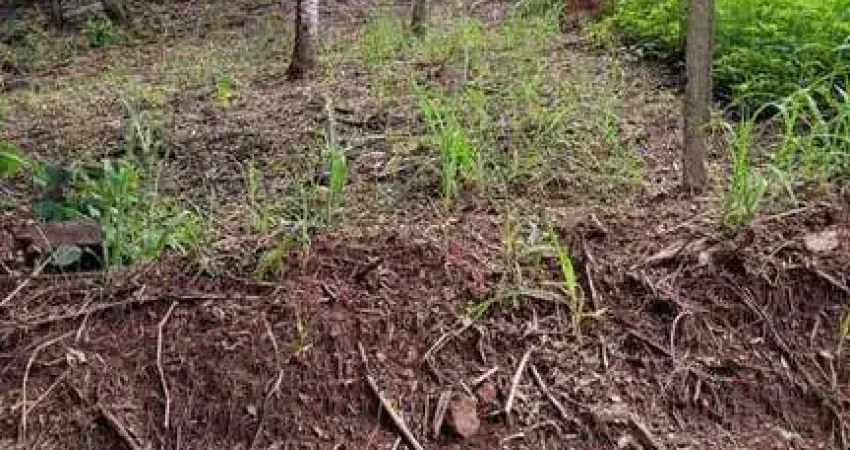 Terreno, alpes de piedade, piedade - r$ 100 mil, cod: 65