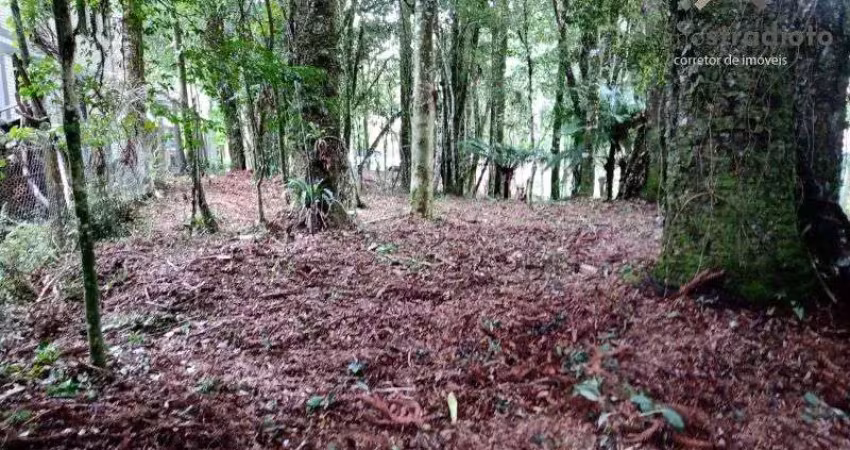 Terreno, 640,00m², à venda em canela, parque das hortênsias (laje de pedra).