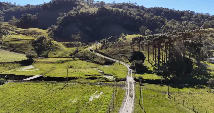 Paraiso das araucárias em rancho queimado 5.8 hectares