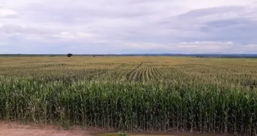 Fazenda à venda na Zona Rural, Fortuna 