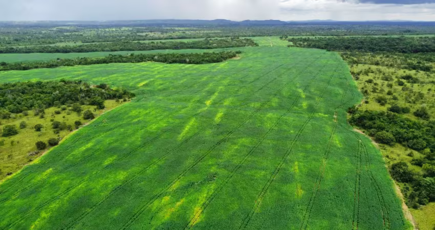 Fazenda à venda no Setor Central, Aragominas 