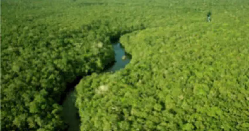 Fazenda à venda na Zona Rural, Eirunepé 