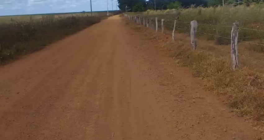 Fazenda pronta para pecuária em pastos bons no estado do maranhão