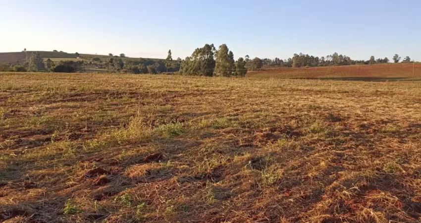 Oportunidade de investimentos agora! terra boa para plantar no paraná