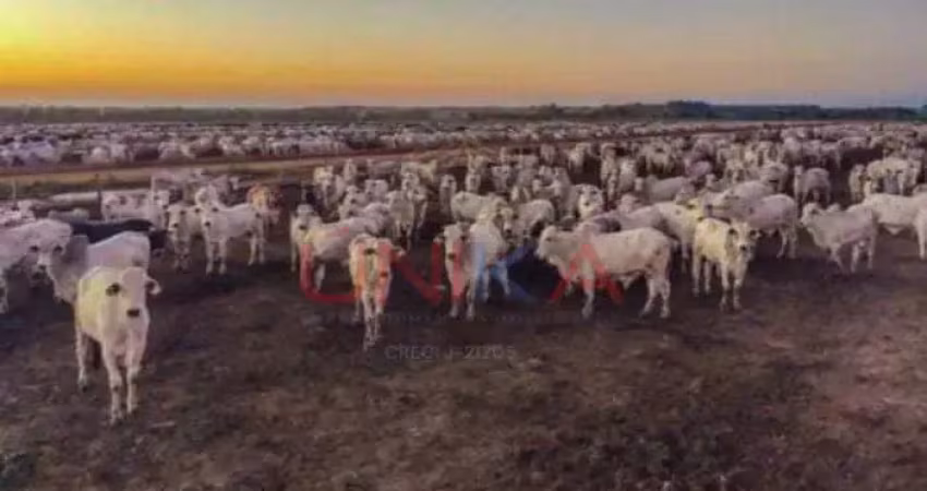 Fazenda à venda na Às Margens da Rodovia Mt, SN, Zona Rural, Diamantino