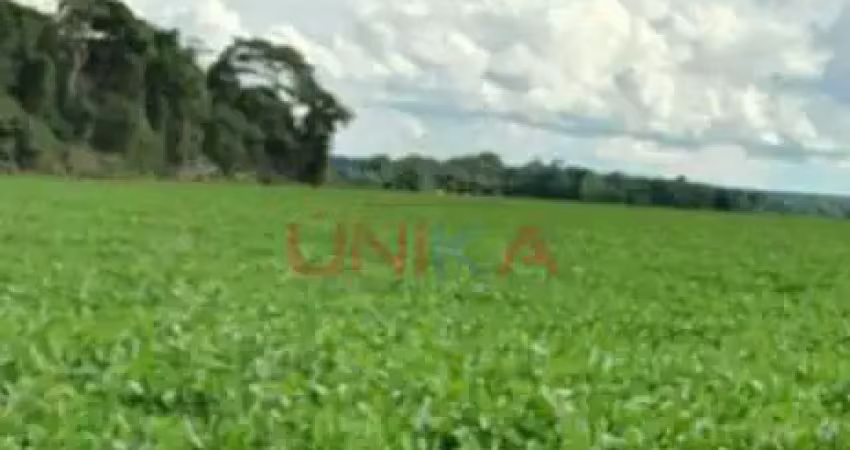 Fazenda para alugar na Nova Ubirata, sn, Zona Rural, Nova Ubiratã