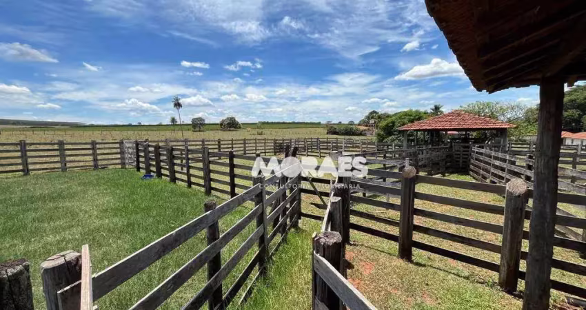 Fazenda à venda, 115 alqueires por r$ 27.000.000 - jacuba - arealva/sp