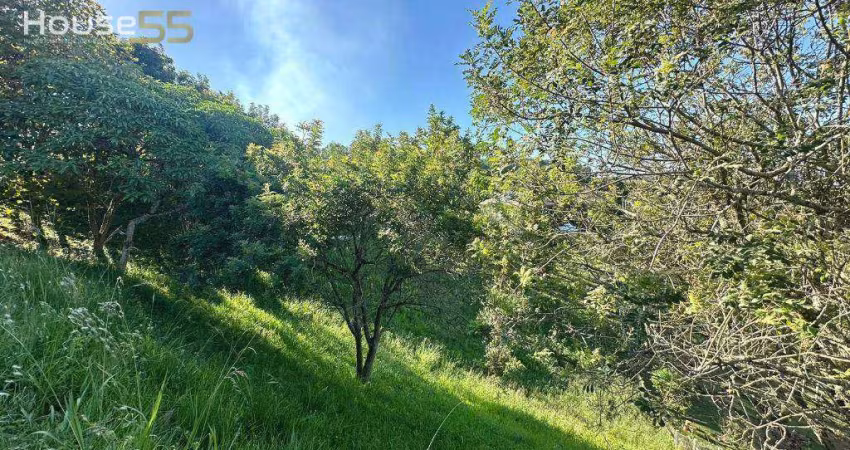 Terreno à venda, 866 m² por R$ 340.000,00 - Vila David Antônio - Campo Largo/PR