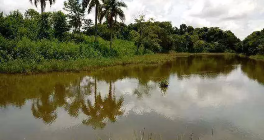 Sítio à venda, 159048 m² por r$ 1.300.000,00 - centro - flor da serra do sul/pr