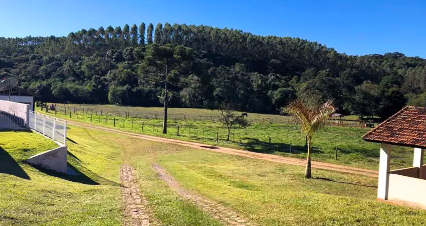 Fazenda produtiva com 93 alqueires, localizada em capão bonito p/ guapiara/sp.