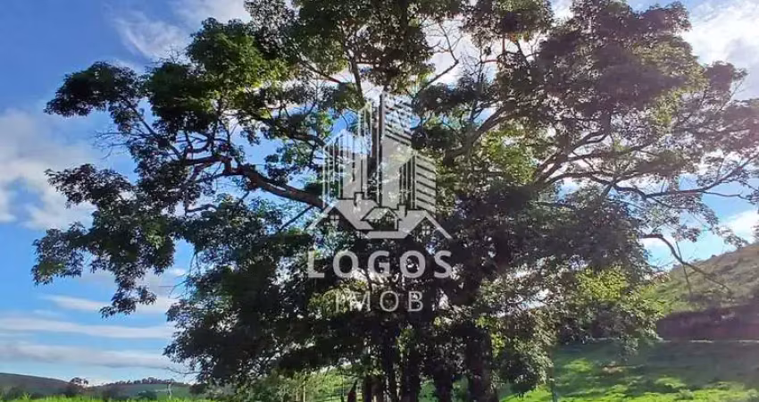 Linda propriedade com casa bicentenária em simão pereira - mg.
